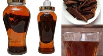 Tác dụng của nấm lim xanh ngâm rượu cách dùng rượu nấm lim xanh