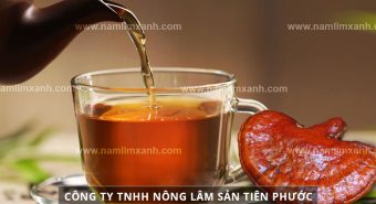 Cách dùng nấm lim xanh tốt nhất từ cách nấu uống nấm lim xanh