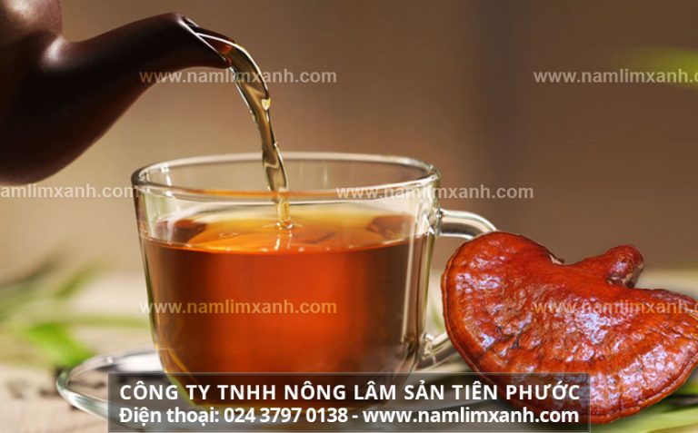 Cách dùng nấm lim xanh tốt nhất từ cách nấu uống nấm lim xanh