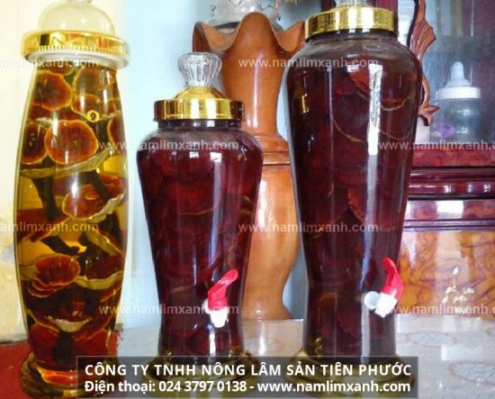 Nấm lim xanh rừng ngâm rượu tăng cường sức khỏe